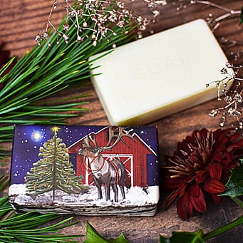 https://tjcuk.sirv.com/Products/82/8/8287977/Christmas-Reindeer-Fir-Tree-Festive-Soap-Bar-190g_8287977_2.jpg?w=342&h=342