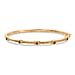 EverTrue Natural Chrome Diopside Bamboo Bangle in Yellow Gold Plated