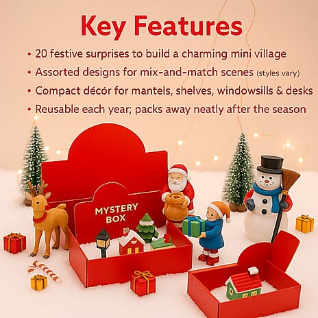 Set of 20 Mystery Christmas Village Box