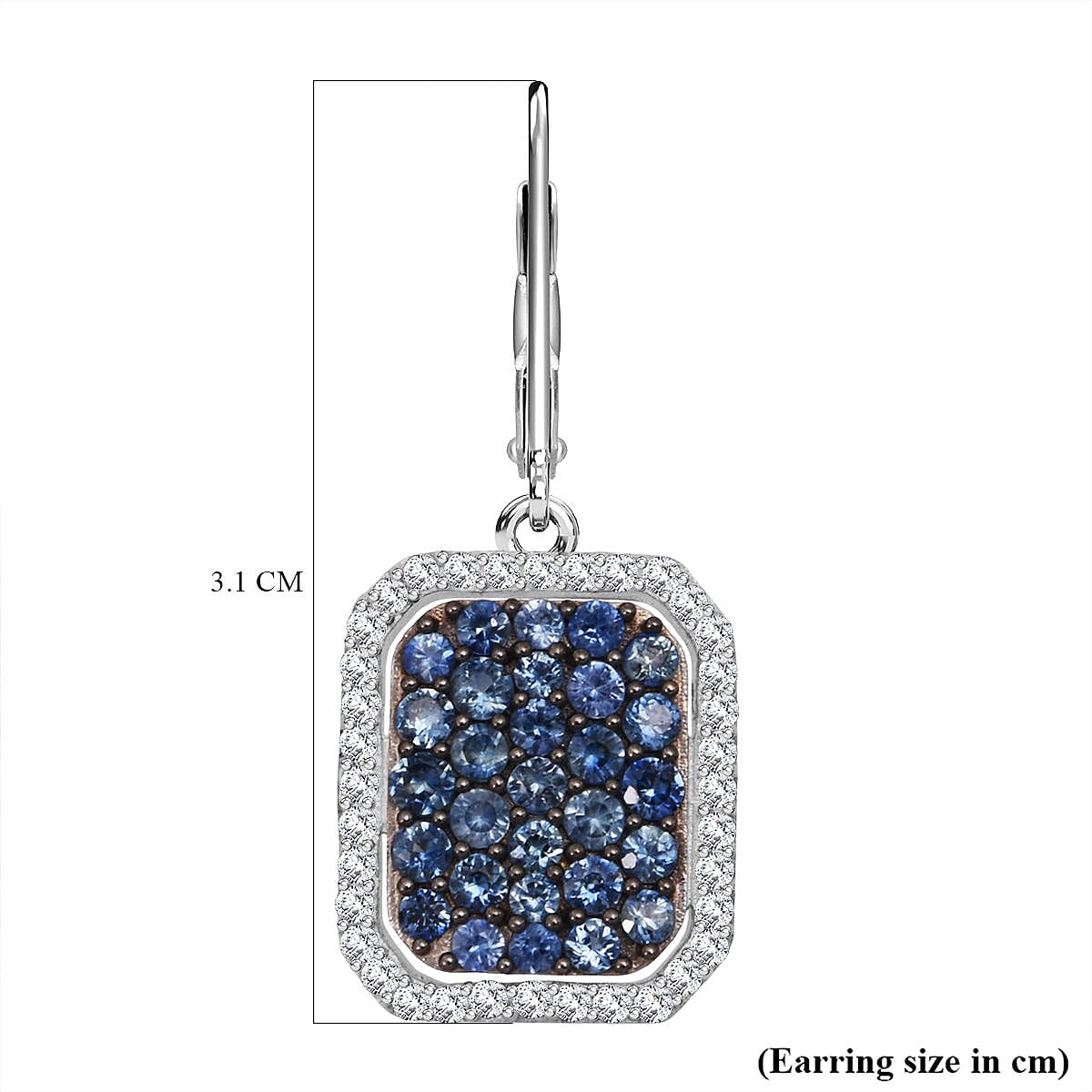 D'Joy Blue Ceylon Sapphire & White Zircon Earring in Rhodium Overlay Sterling Silver 2.86 Ct.