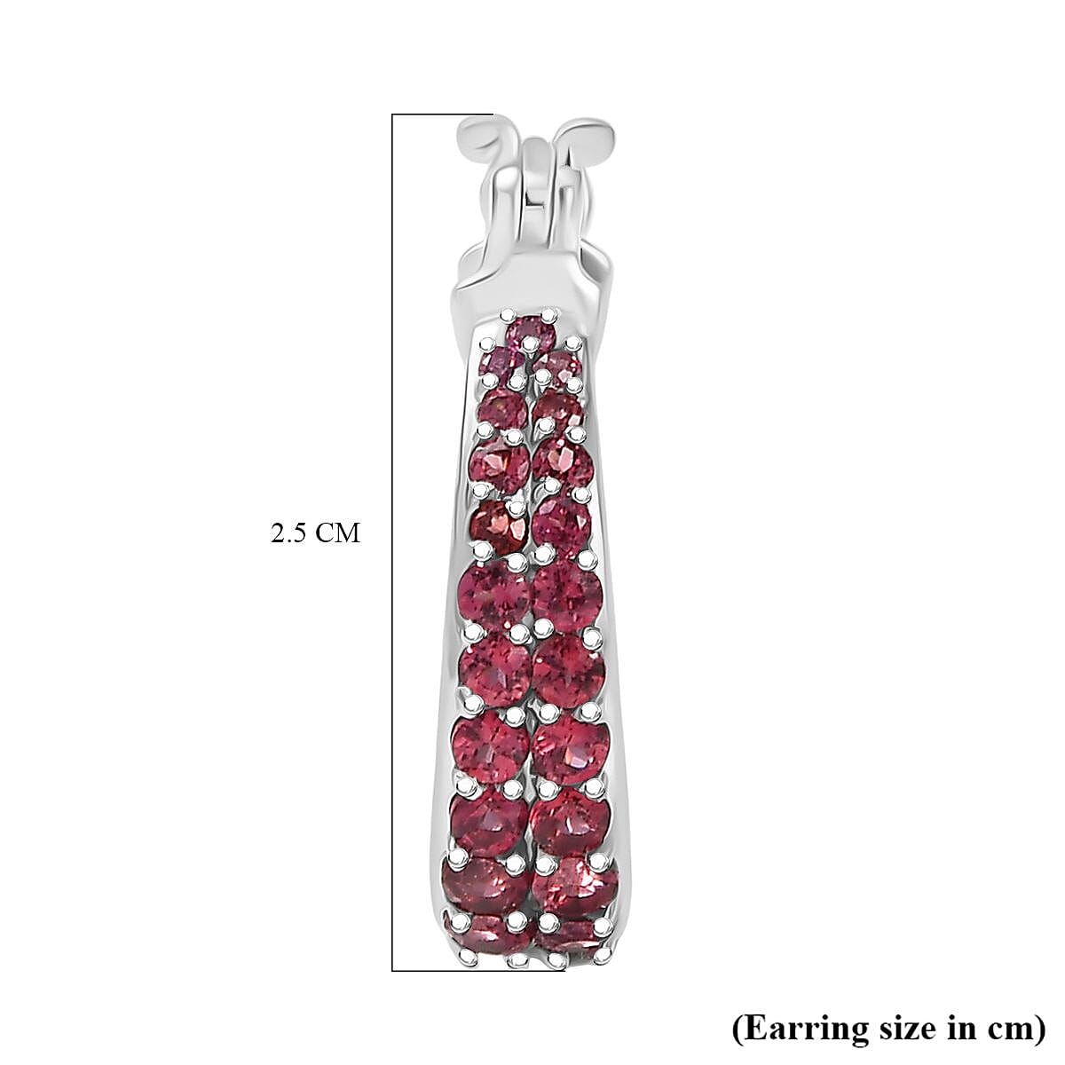 GP- Italian Garden Collection Orissa Rose Garnet, Blue Sapphire Full Hoop Earring in Rhodium Overlay Sterling Silver 2.36 Ct, Silver Wt. 7.53 Gms.