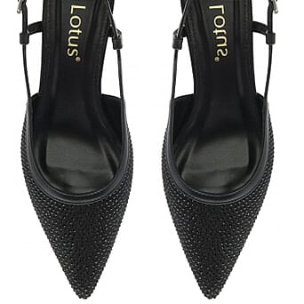 https://tjcuk.sirv.com/Products/83/0/8305110/Lotus-Bexley-Slingback-Pointed-Toe-Kitten-Heel-Size-7-Black_8305110_3.jpg?w=342&h=342