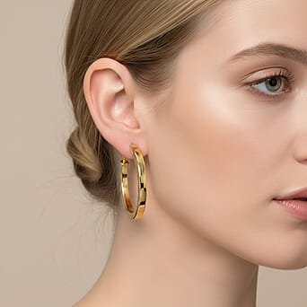 https://tjcuk.sirv.com/Products/83/0/8308628/Gold-Plated-Half-Hoop-Earring-with-Clasp_8308628_2.jpg?w=342&h=342