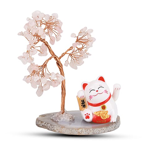 Showpiece (Size - One Size) - Pink & Purple