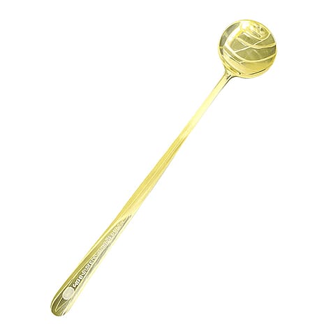 Fountain of Youth Collagen Spoon