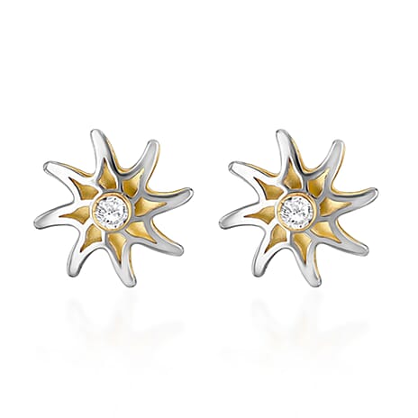 9K Yellow & White Gold Star Earring with Push Back