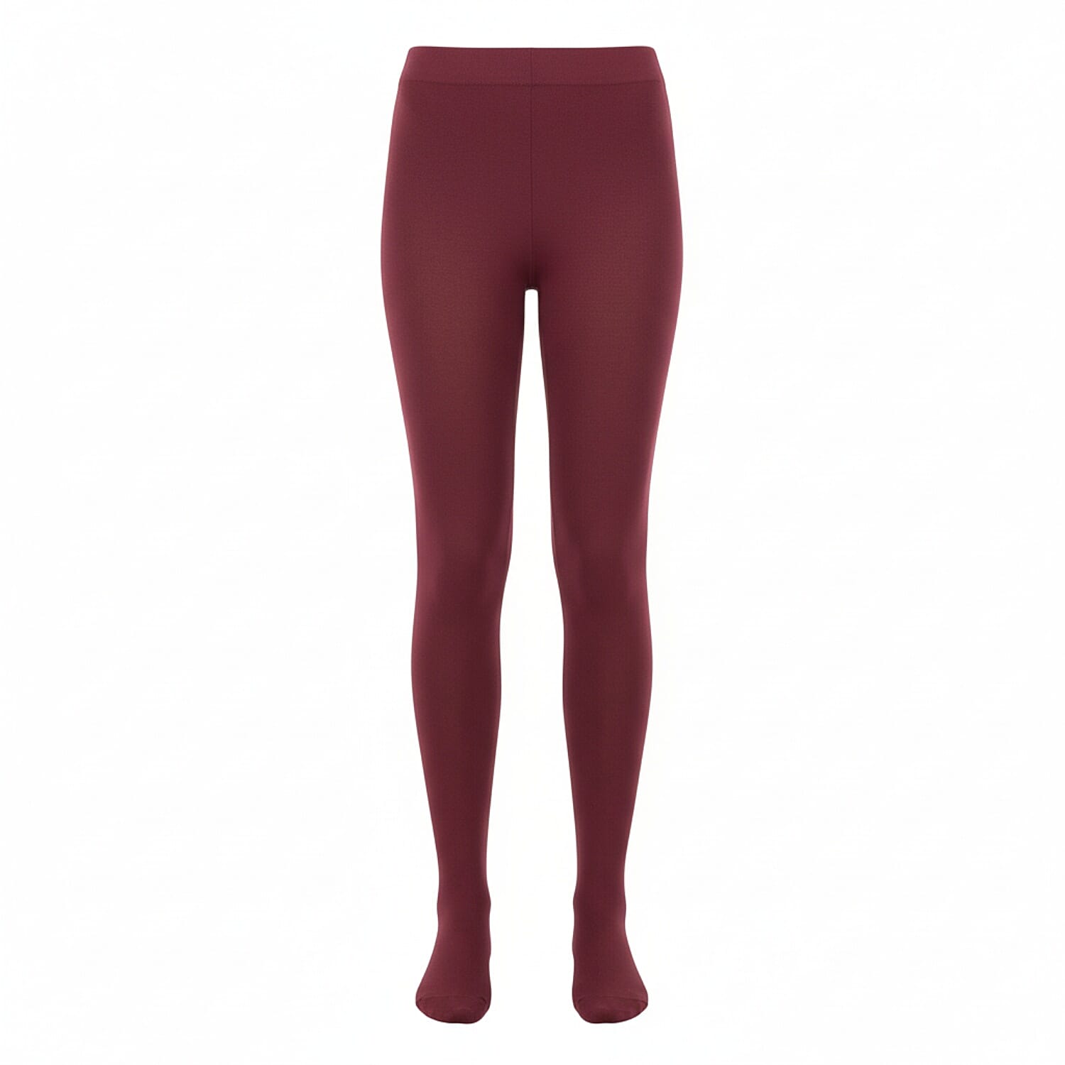 Womens 300 Denier Thermal Fleece-Lined Tights