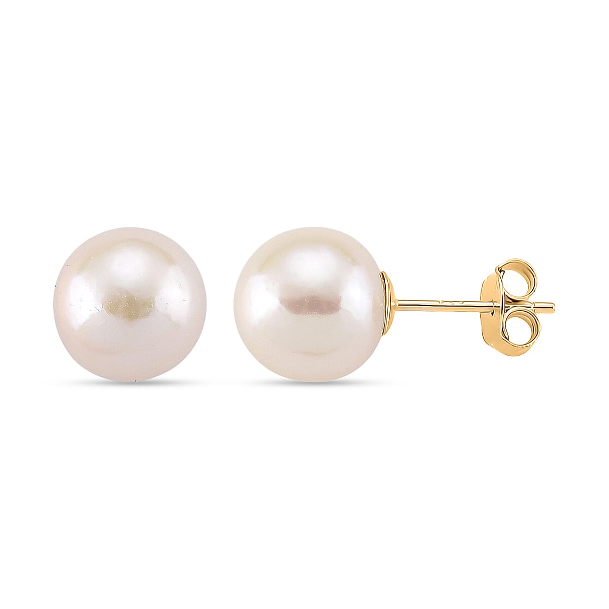 Premium White Edison Pearl (10MM) Earrings with Push Backs in Yellow Gold Overlay Sterling Silver