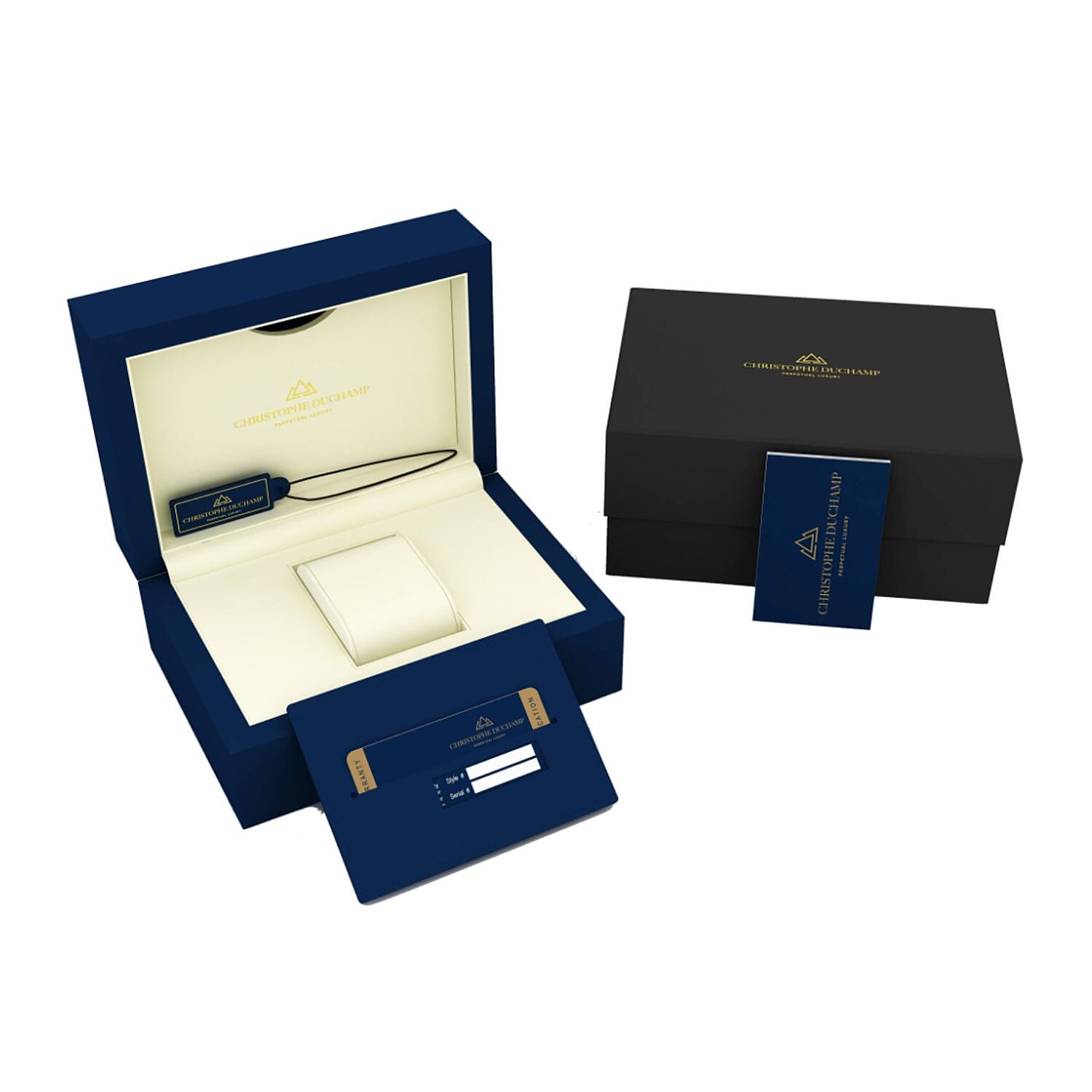 CHRISTOPHE DUCHAMP Swiss Quartz Movement Silver Dial Mens Watch with Silver Colour Stainless Steel Chain Strap