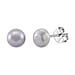 Peacock Freshwater Pearl (7-8mm) Stud Earrings with Push Backs