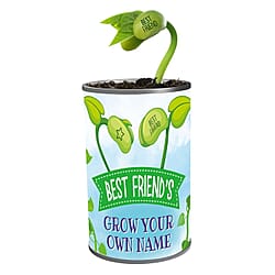 Grow Your Own Plant- Bee Happy - Green