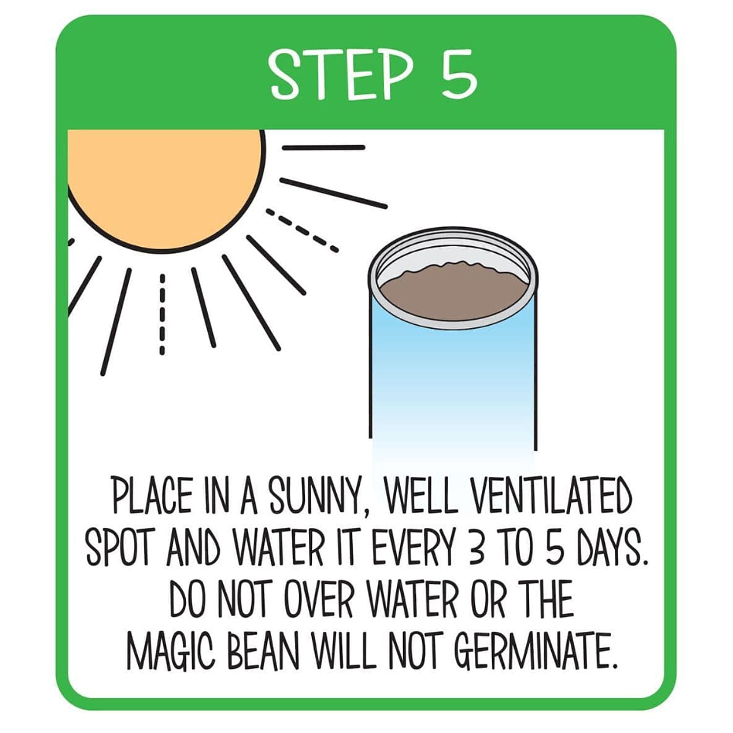 Grow Your Own Plant- Bee Happy - Green