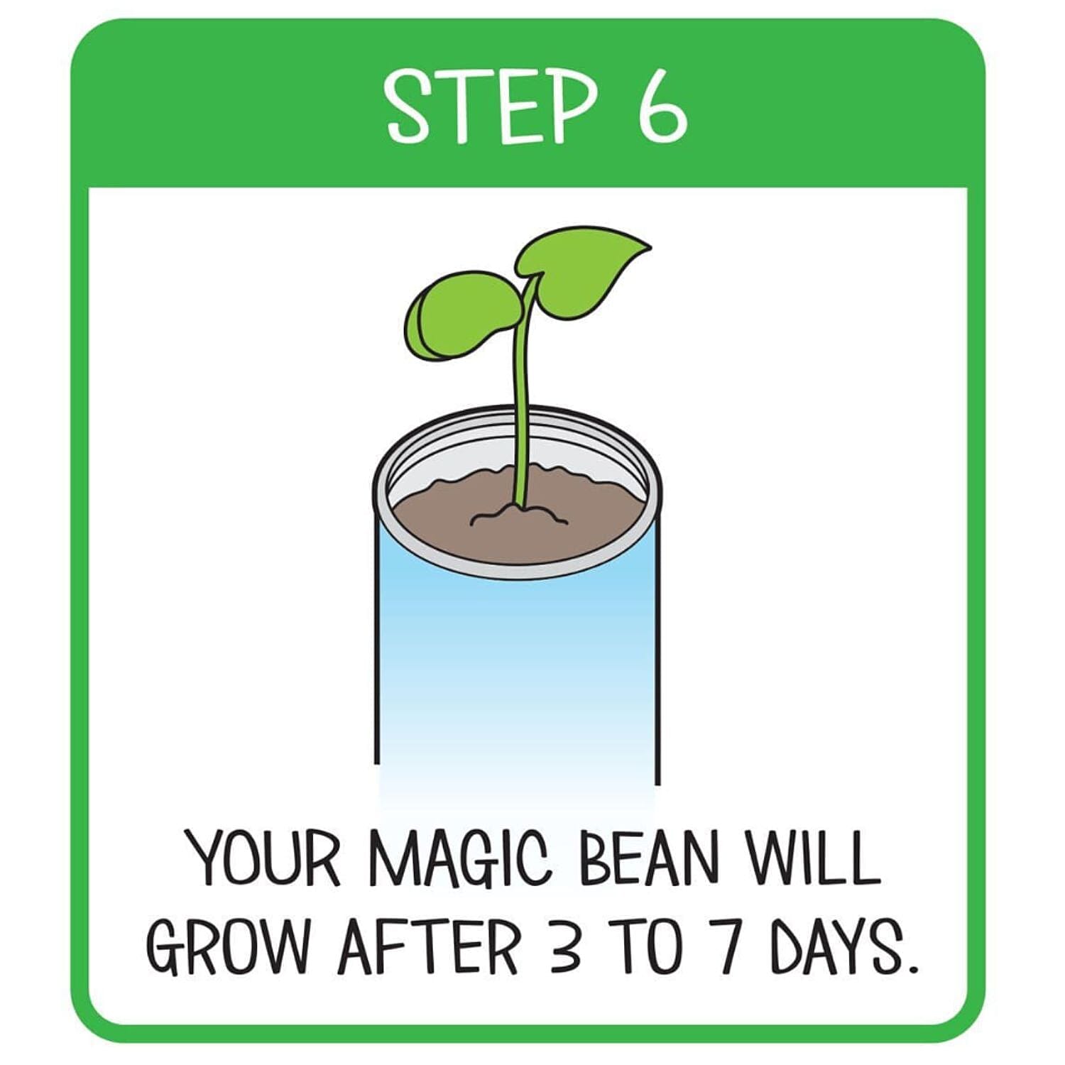 Grow Your Own Plant- Bee Happy - Green