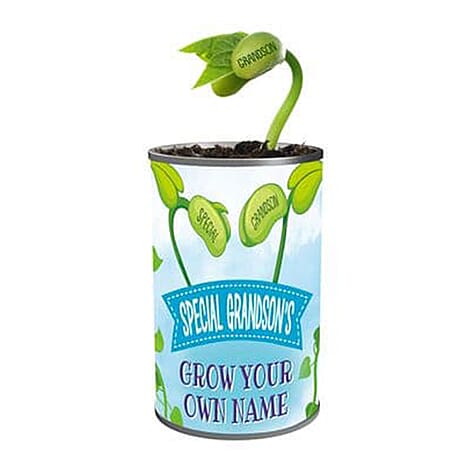 IW Special Live Plants - Sea Green & Green