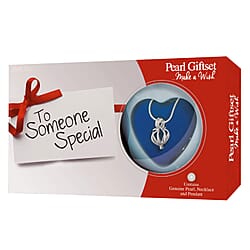 IW Special Gift Box - Transparent & White