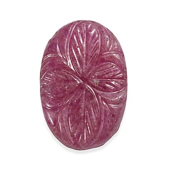 https://tjcuk.sirv.com/Products/83/2/8323267/Freshend-Ruby-Fancy-Size-Varies_8323267.jpg?w=342&h=342