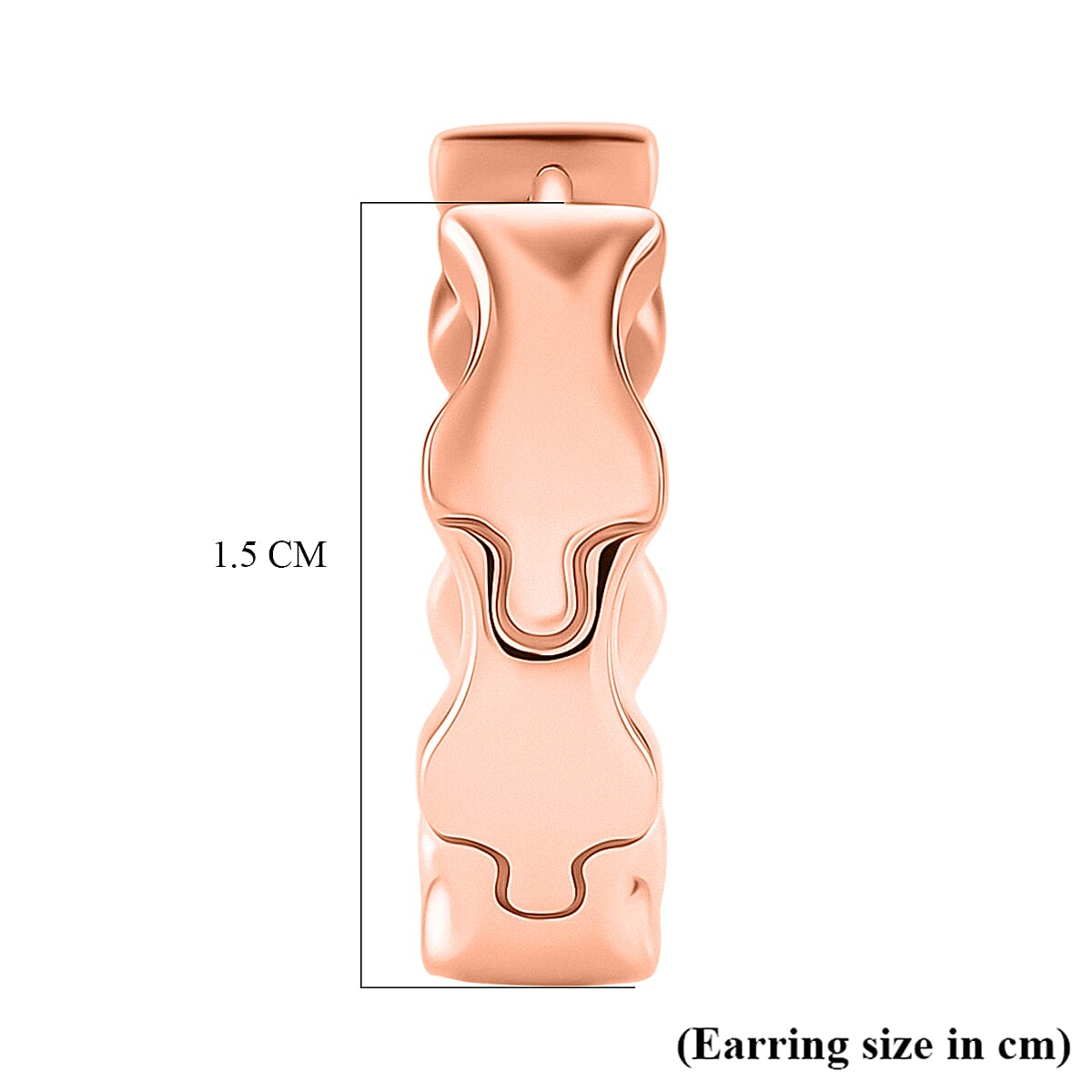 Lucy Q Hoop Earring in 18K Vermeil Rose Gold Plated Sterling Silver