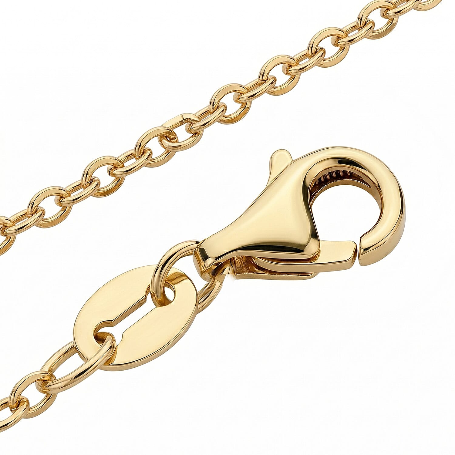 CloseOut - 9K Yellow Gold Rolo Necklace  (Size - 20) with Spring Ring Clasp