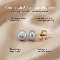 Grey Freshwater Pearl Beads (7-8MM) Earring with Push Back in Gold Tone
