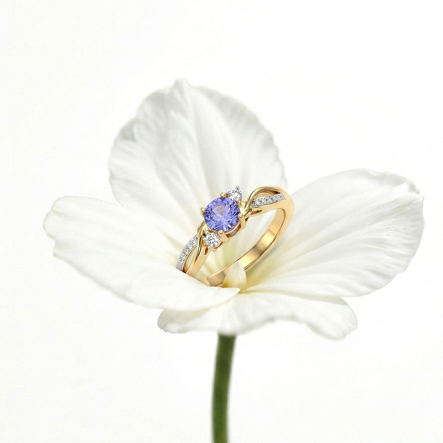 D'Joy Tanzanite, Moissanite Ring in Sterling Silver