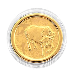 24K Yellow Gold Chinese Zodiac Horse Coin (30mm)