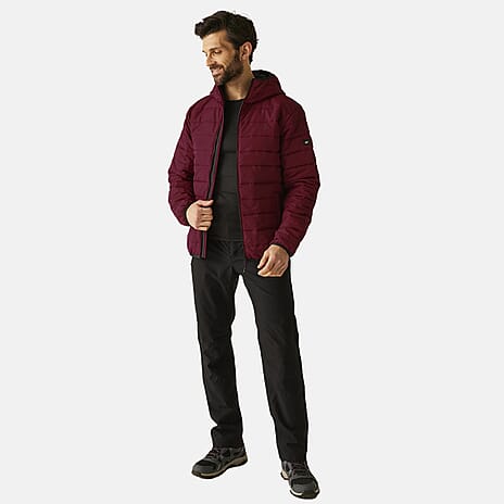 Regatta Mens Padded Insulated Jacket (Size XXXL) - Dark Maroon