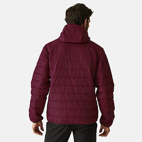 Regatta Mens Padded Insulated Jacket (Size XXXL) - Dark Maroon