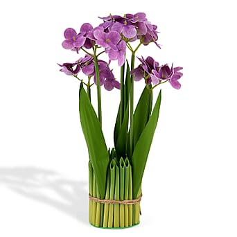 https://tjcuk.sirv.com/Products/83/6/8363216/Artificial-Flower-Size-One-Size-Purple-Green_8363216_3.jpg?w=342&h=342