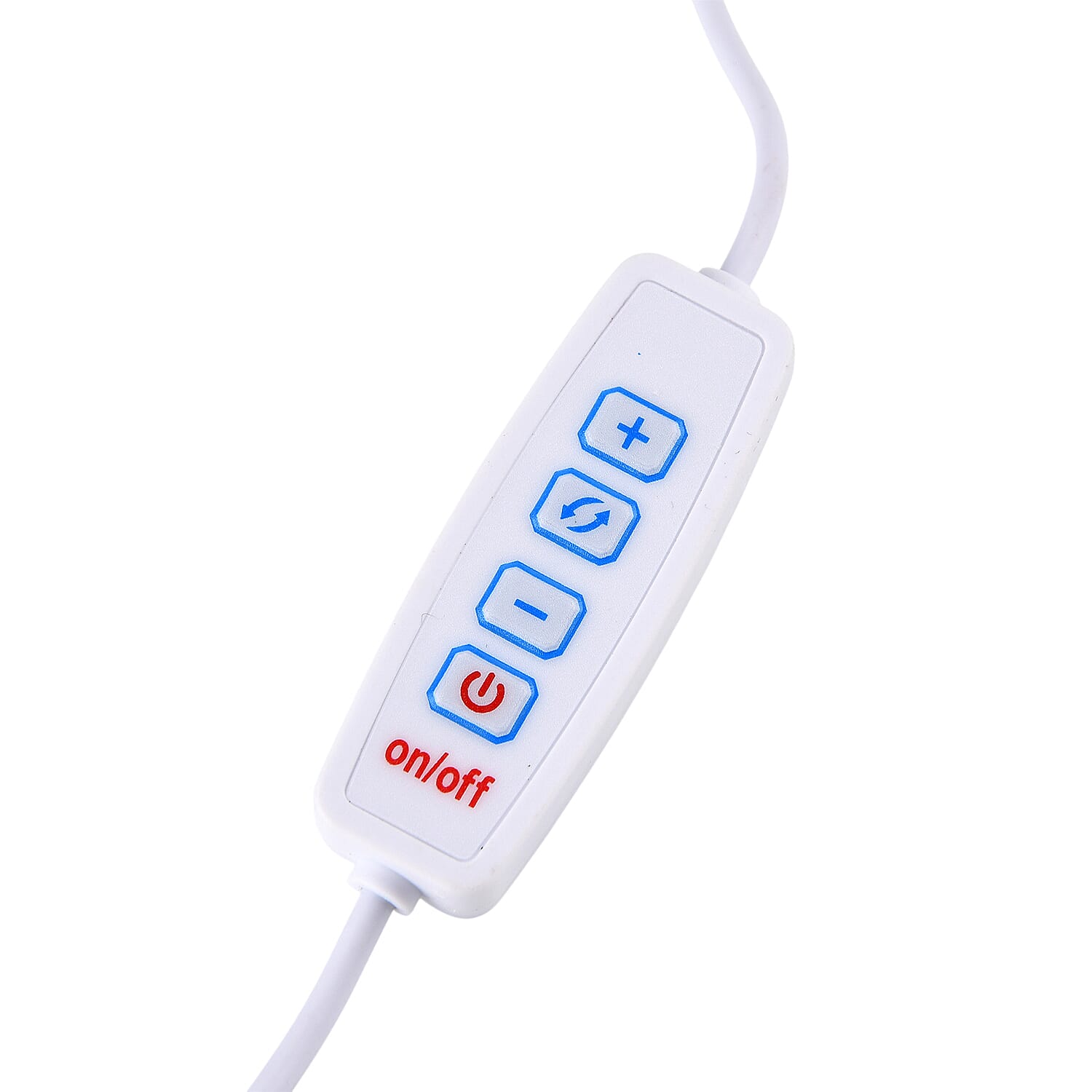 Crystal Shell Turtle Table Ornament with Internal LED Light (12cm) - White