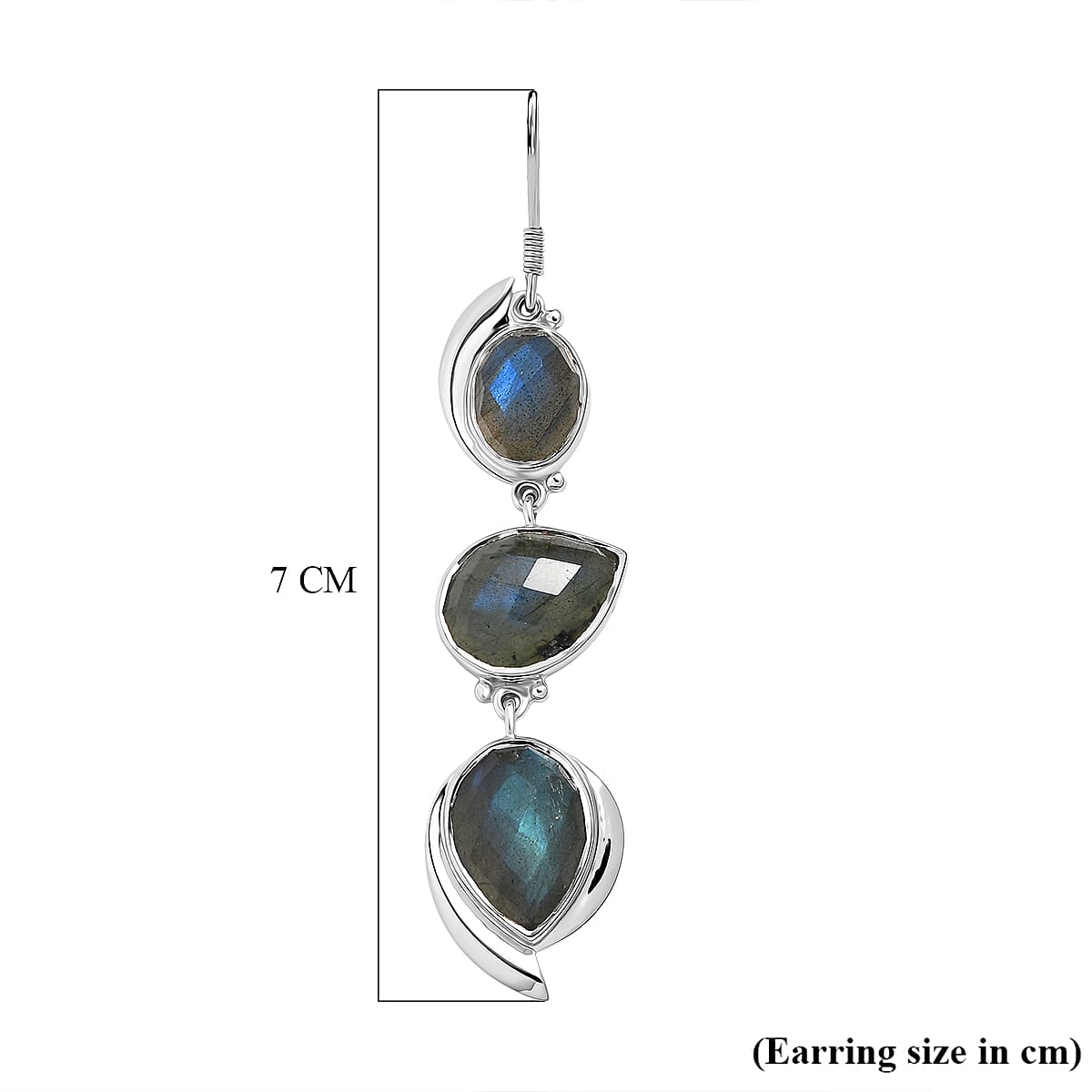 Sajen Silver- Labradorite Earring in Rhodium Overlay Sterling Silver 21.93 Ct