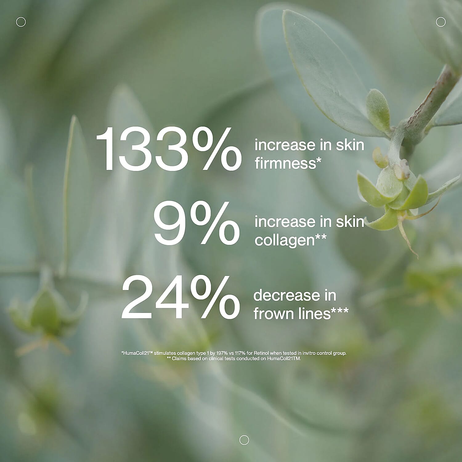 Jojoba Ultimate Serum - 30ml