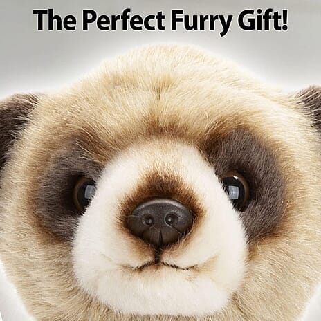 IW Special Toy (Size - One Size) - Cream