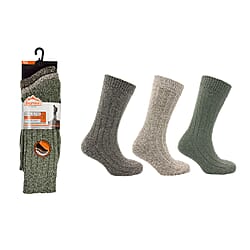 3 Pack ProHike Cushion Sole Wool Socks (UK 6-11) - Beige