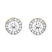 LUXURIANT 2 Ct. Lab Grown Diamond Halo Earring with Push Back in 14K White Gold (SI-GH)