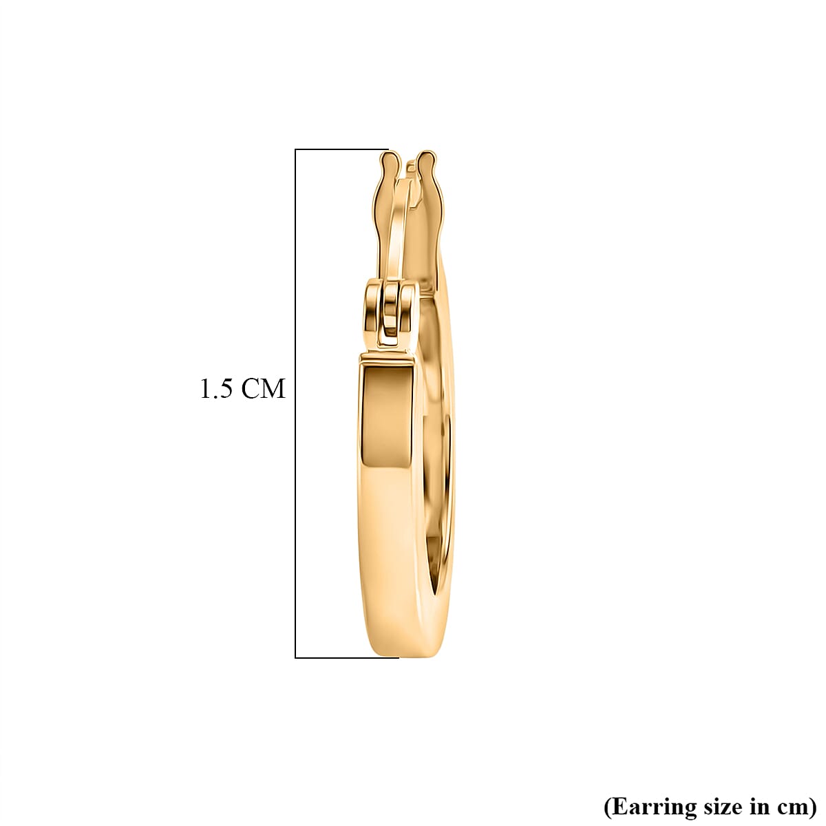 9K Yellow Gold Hoop Earring with Clasp