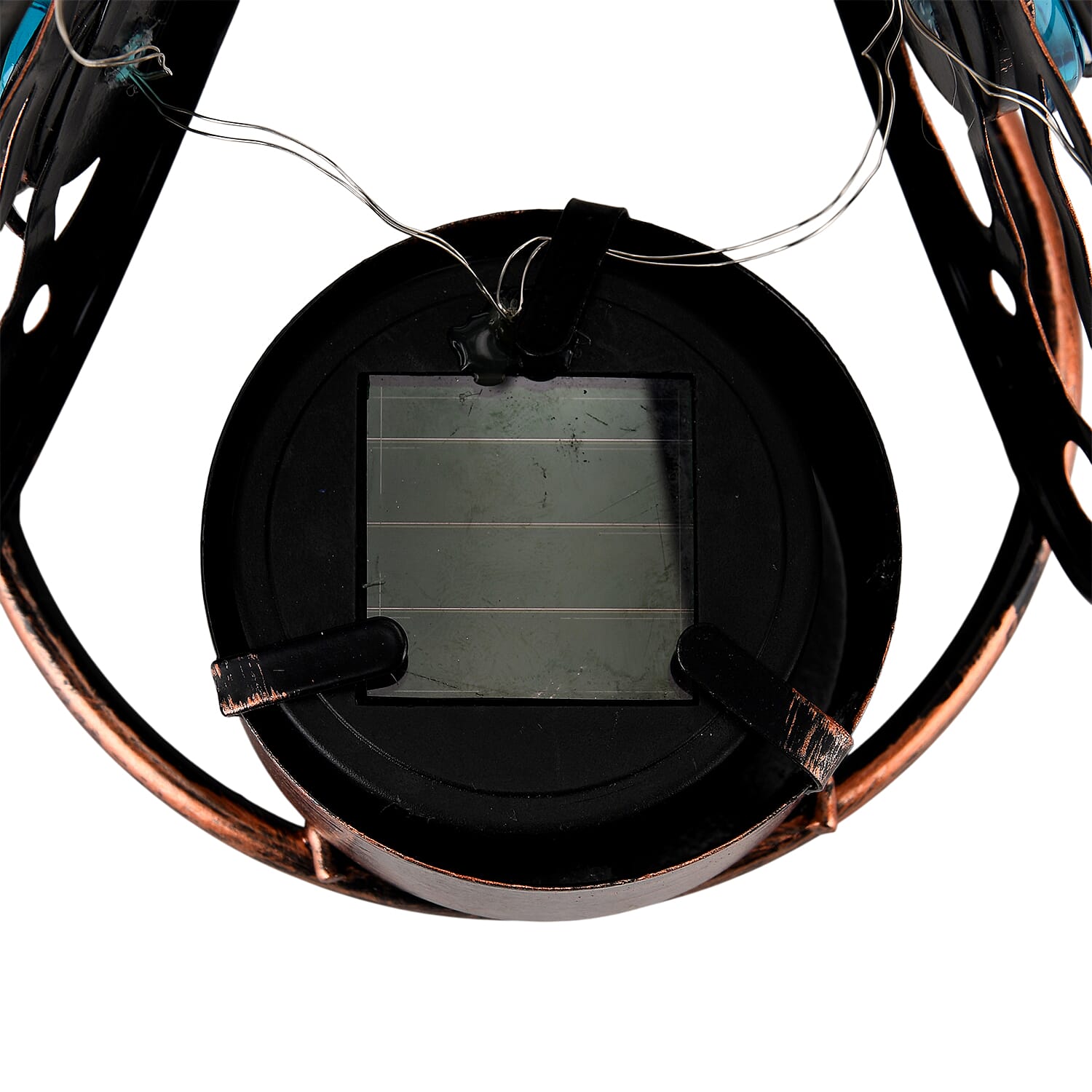 Outdoor Lighting (Size - One Size) - Black & Purple