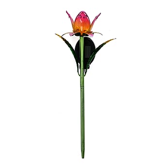 https://tjcuk.sirv.com/Products/84/1/8412815/LIVMORE-Outdoor-Lighting-Size-One-Size-Pink-Green_8412815.jpg?w=342&h=342