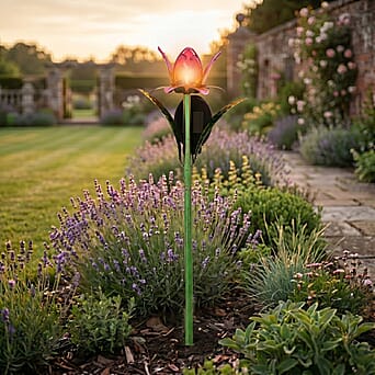 https://tjcuk.sirv.com/Products/84/1/8412815/LIVMORE-Outdoor-Lighting-Size-One-Size-Pink-Green_8412815_1.jpg?w=342&h=342