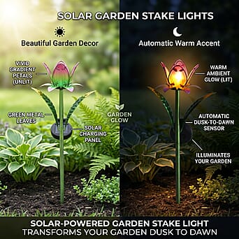 https://tjcuk.sirv.com/Products/84/1/8412815/LIVMORE-Outdoor-Lighting-Size-One-Size-Pink-Green_8412815_2.jpg?w=342&h=342