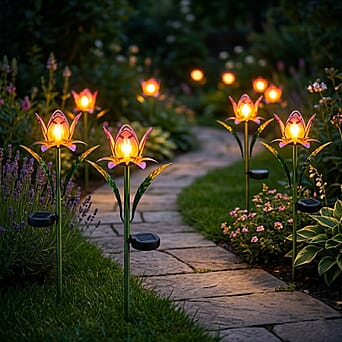 https://tjcuk.sirv.com/Products/84/1/8412815/LIVMORE-Outdoor-Lighting-Size-One-Size-Pink-Green_8412815_3.jpg?w=342&h=342