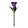 Purple and Green