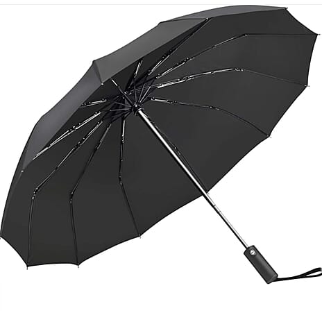 2-Fold Compact Umbrella - Black