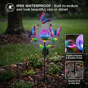 https://tjcuk.sirv.com/Products/84/1/8416514/Showpiece-Size-One-Size-Purple_8416514_2.jpg?w=342&h=342