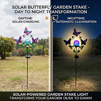 https://tjcuk.sirv.com/Products/84/1/8416514/Showpiece-Size-One-Size-Purple_8416514_3.jpg?w=342&h=342