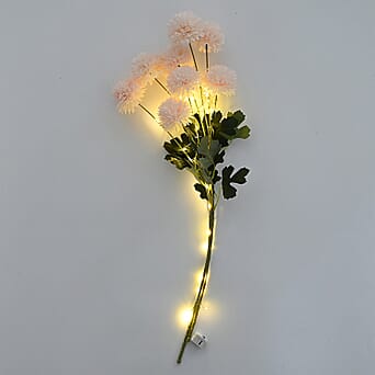 https://tjcuk.sirv.com/Products/84/1/8418019/Artificial-Flower-Size-One-Size-Champagne_8418019_1.jpg?w=342&h=342