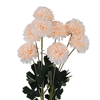 https://tjcuk.sirv.com/Products/84/1/8418019/Artificial-Flower-Size-One-Size-Champagne_8418019_2.jpg?w=342&h=342