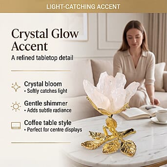 https://tjcuk.sirv.com/Products/84/2/8426255/8426255_1.jpg?w=342&h=342
