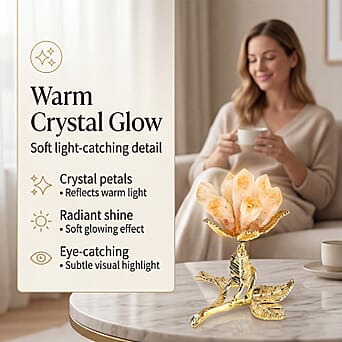 https://tjcuk.sirv.com/Products/84/2/8426256/8426256_1.jpg?w=342&h=342