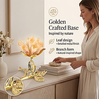 https://tjcuk.sirv.com/Products/84/2/8426256/8426256_2.jpg?w=342&h=342