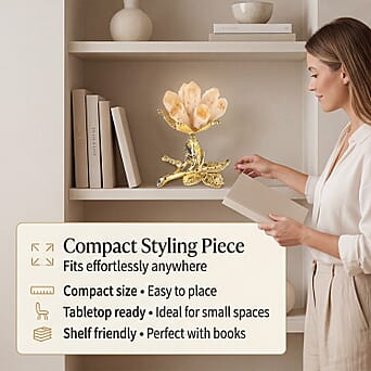 https://tjcuk.sirv.com/Products/84/2/8426256/8426256_3.jpg?w=342&h=342